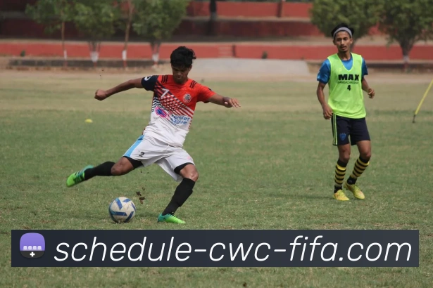 买球规则平台生态图